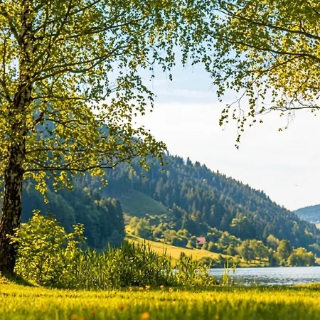 Chalet Bergblick Am Afritzer